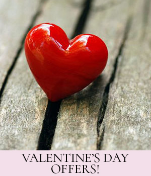 Valentine’s Day Offers! Valentine’s Day Offers!