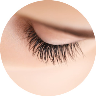 Best Brows & Lashes in Winchester at Sparx Beauty Salon Best Brows & Lashes in Winchester at Sparx Beauty Salon
